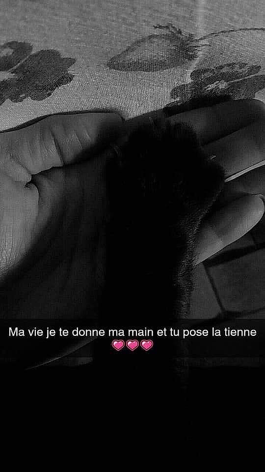 Neko participe au concours pour gagner de l'argent avec cette photo : darkness, feather, finger, flash_photography, flesh, font, fur, gesture, landscape, love, monochrome, monochrome_photography, ocean, photo_caption, rock, room, shadow, wildlife, wind_wave, wing