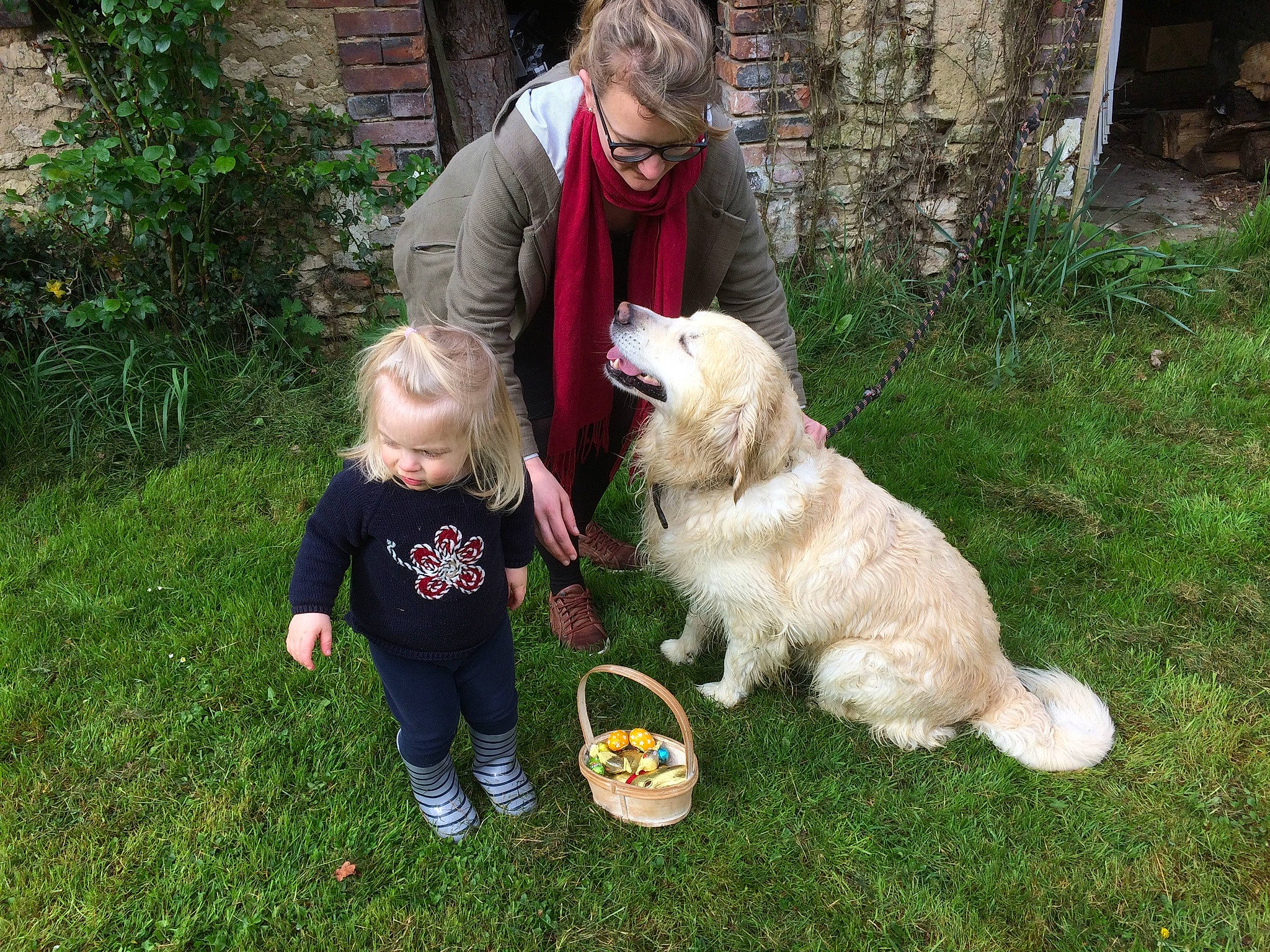 Goldy participe au concours pour gagner de l'argent avec cette photo : animal_training, backyard, canidae, carnivore, companion_dog, dog, dog_breed, grass, leash, livestock_guardian_dog, non_sporting_group, people_in_nature, plant, retriever, slovak_cuvac, sporting_group, toddler, working_animal, working_dog, yard