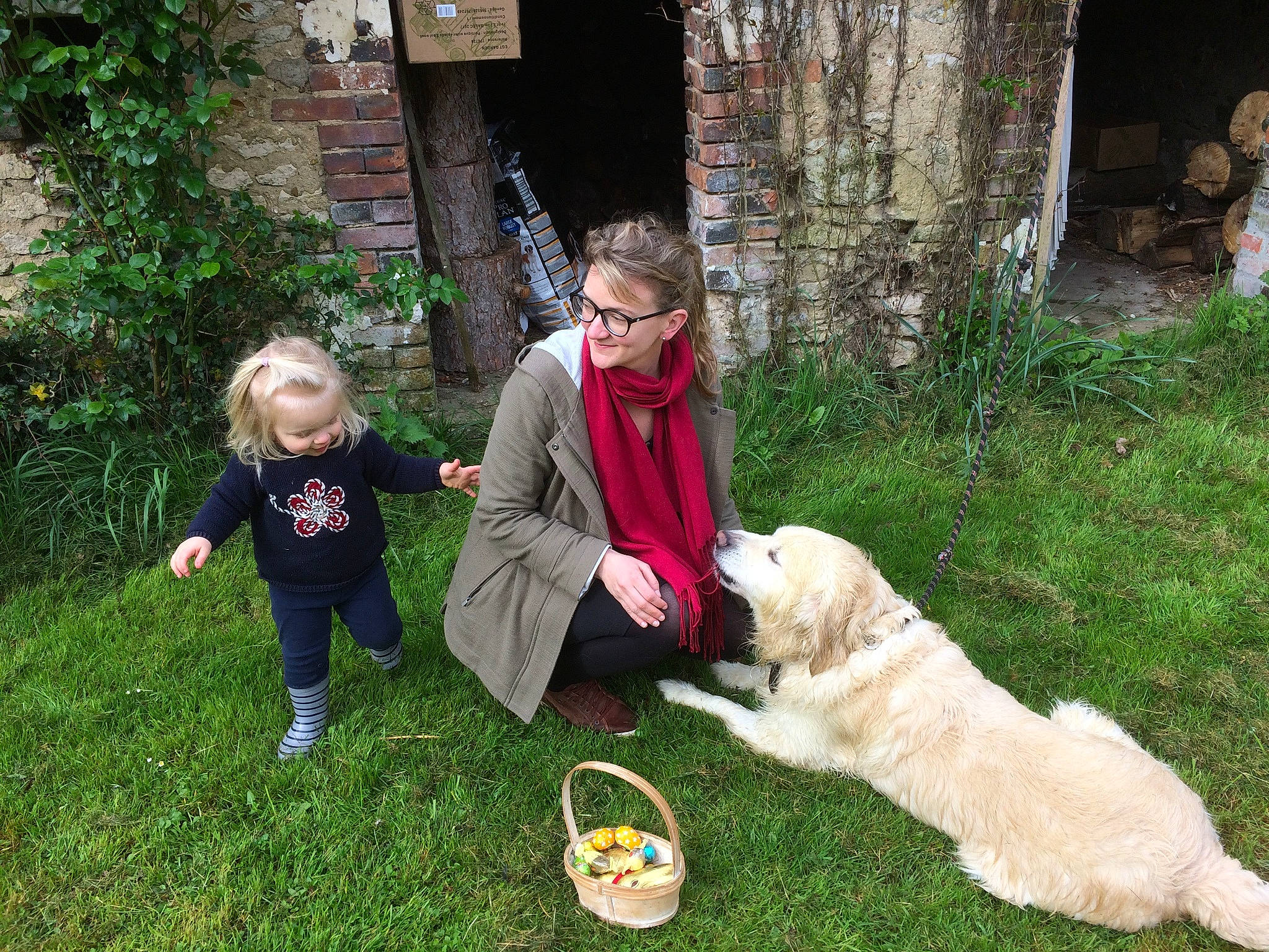 Goldy participe au concours pour gagner de l'argent avec cette photo : boot, carnivore, companion_dog, dog, dog_breed, event, fawn, fun, fur, grass, great_pyrenees, lap, leash, leisure, livestock_guardian_dog, people_in_nature, plant, sporting_group, toddler, tree