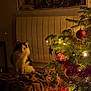 cat, christmas_tree, lights, ornaments, blanket, indoor, holiday, decorations, furniture, window, radiator, night, warm_lighting, black_and_white_cat, festive, cozy, soft_texture, curious, pet, animal