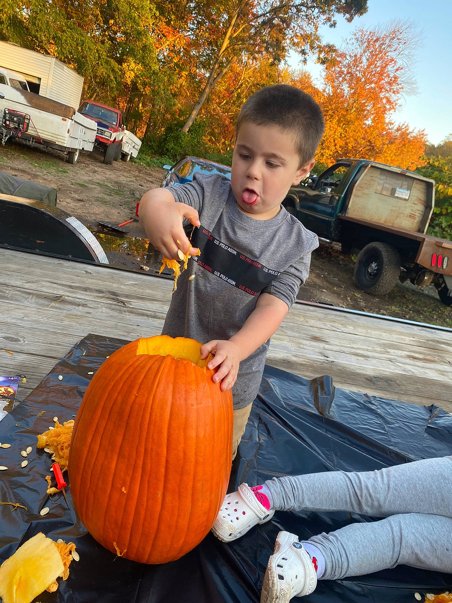 Michael is registered to the contest to win money with this photo: calabaza, cucurbita, fruit, gourd, leaf, leisure, local_food, natural_foods, orange, person, plant, pumpkin, sky, squash, tire, toddler, tree, vegetable, wheel, winter_squash