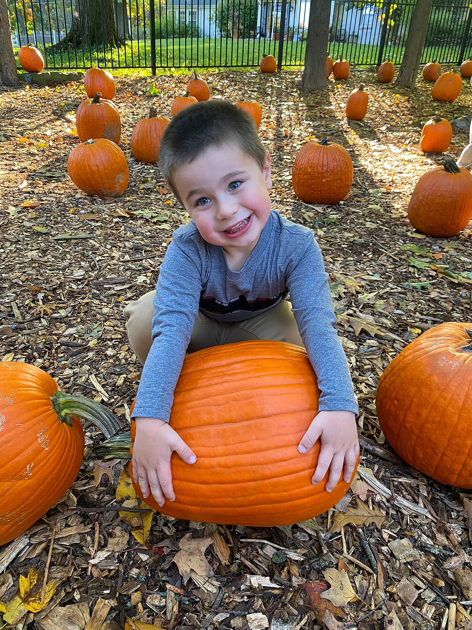 Michael is registered to the contest to win money with this photo: calabaza, cucurbita, eye, facial_expression, food, gourd, grass, head, joy, local_food, natural_foods, nature, people_in_nature, person, plant, produce, pumpkin, smile, squash, vegetable