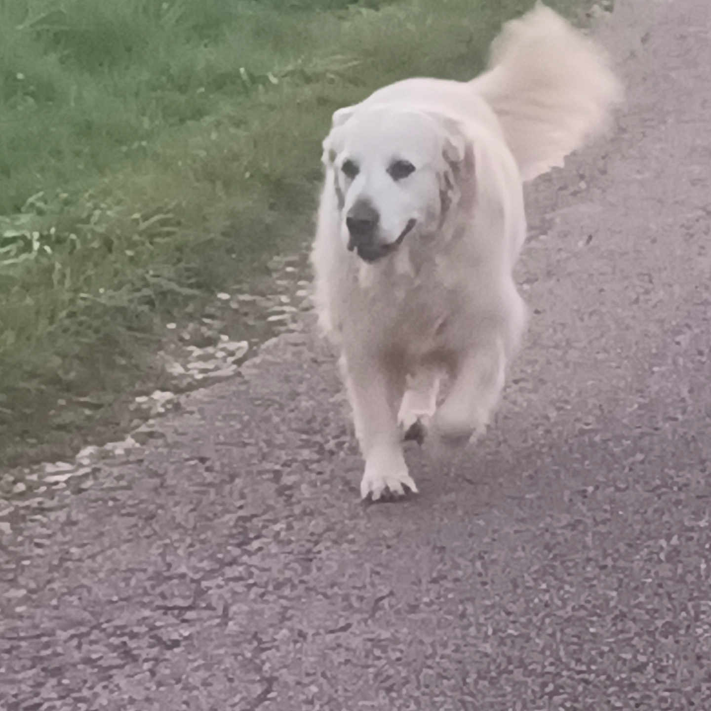 Maddy