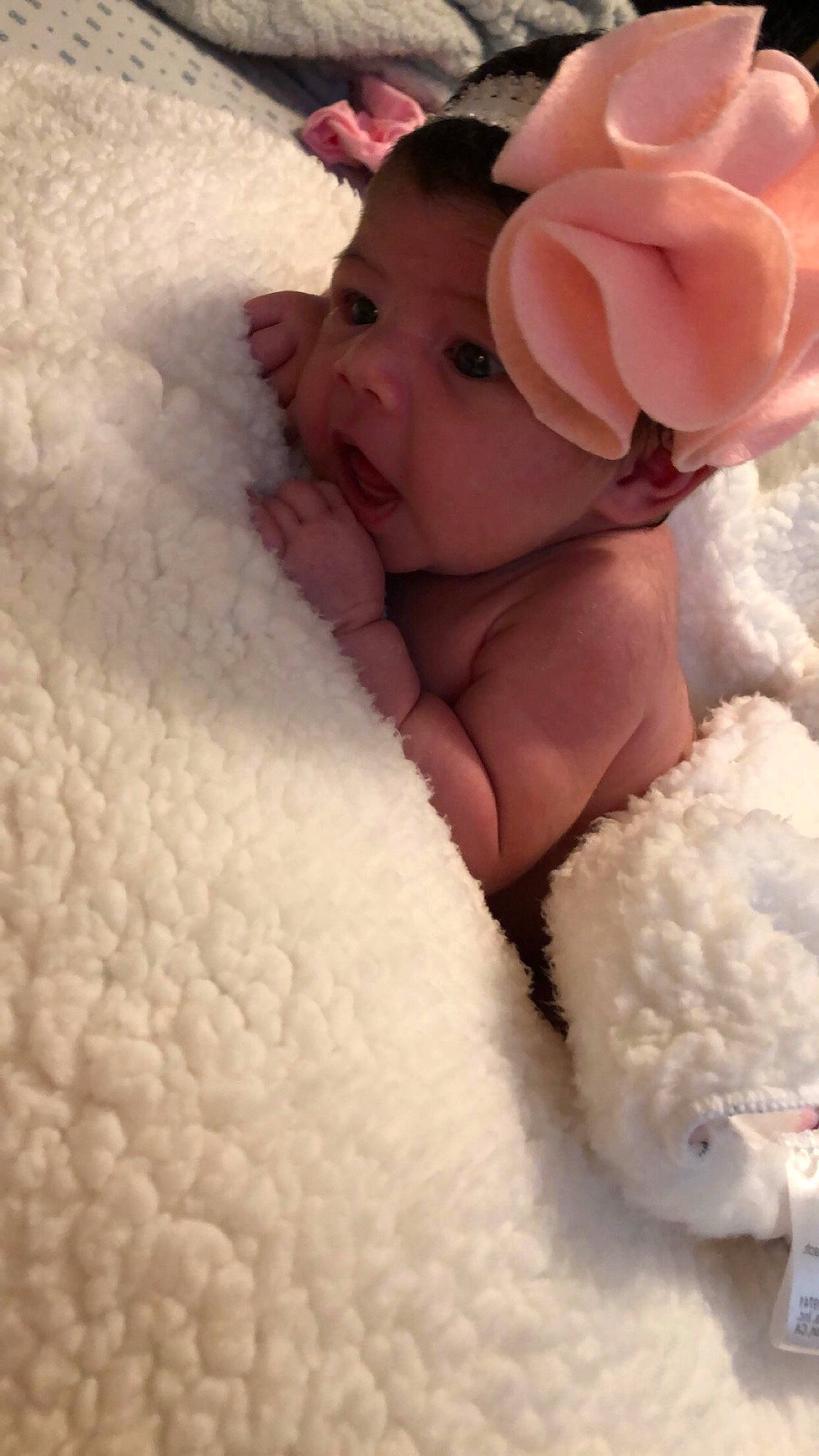 Ellie Joyce Mitchell joined the competition — help win amazing prizes! artificial_flower, baby, baby_toddler_clothing, bonnet, cheek, child, hair_accessory, headband, headpiece, human, peach, person, pink, portrait_photography, rose, toddler, wool
