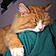 Filou