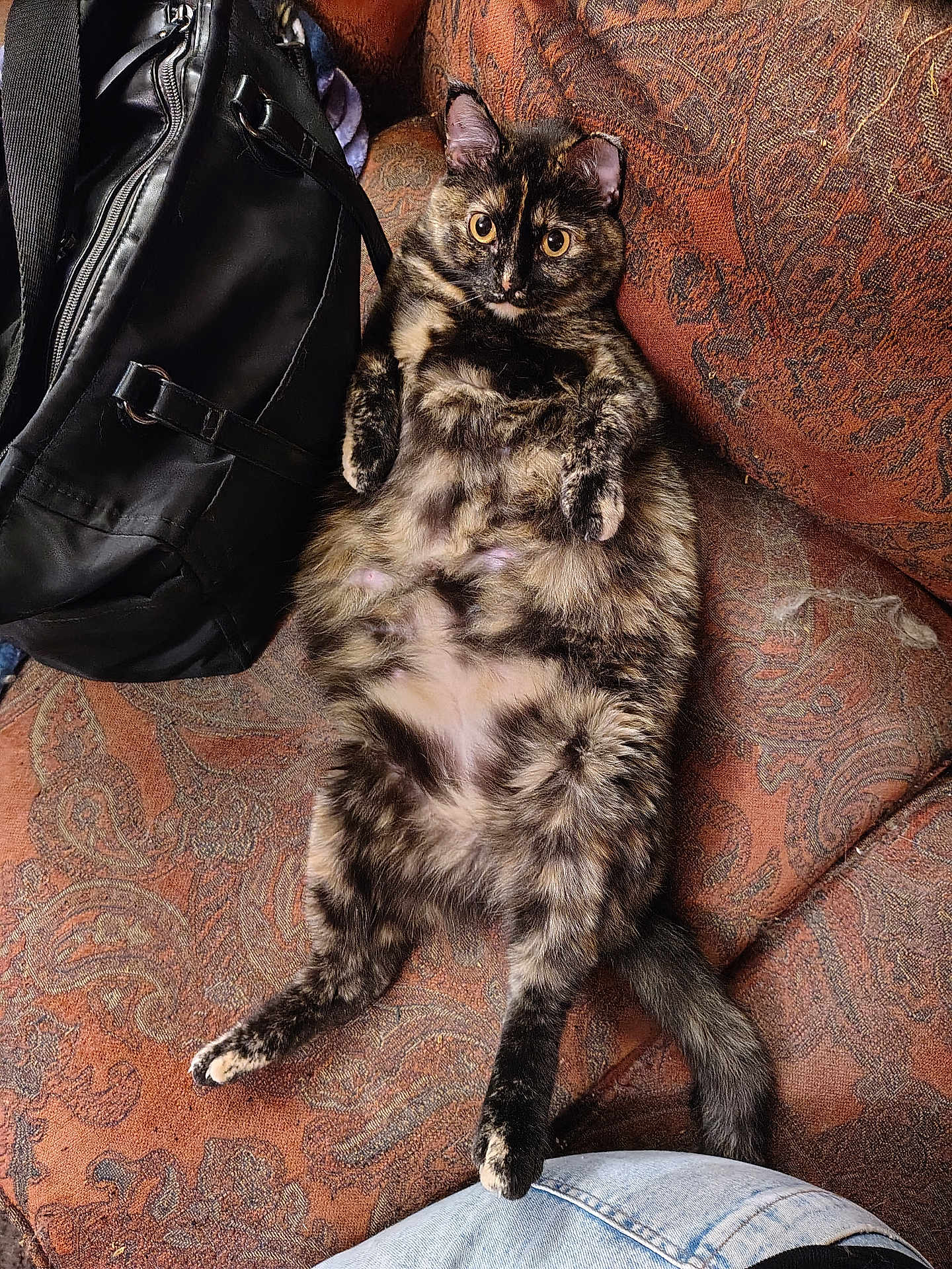 Cali