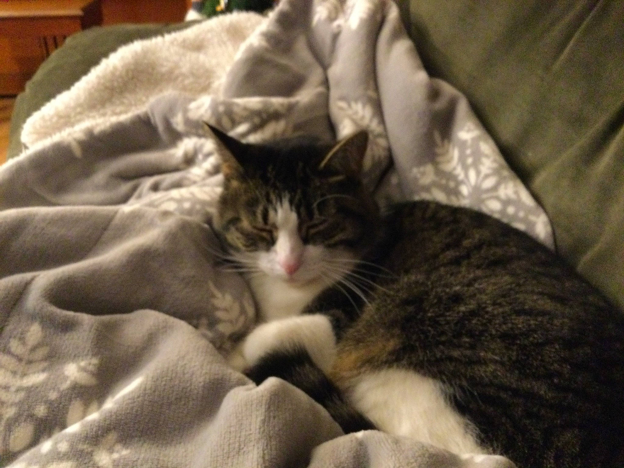 Aj