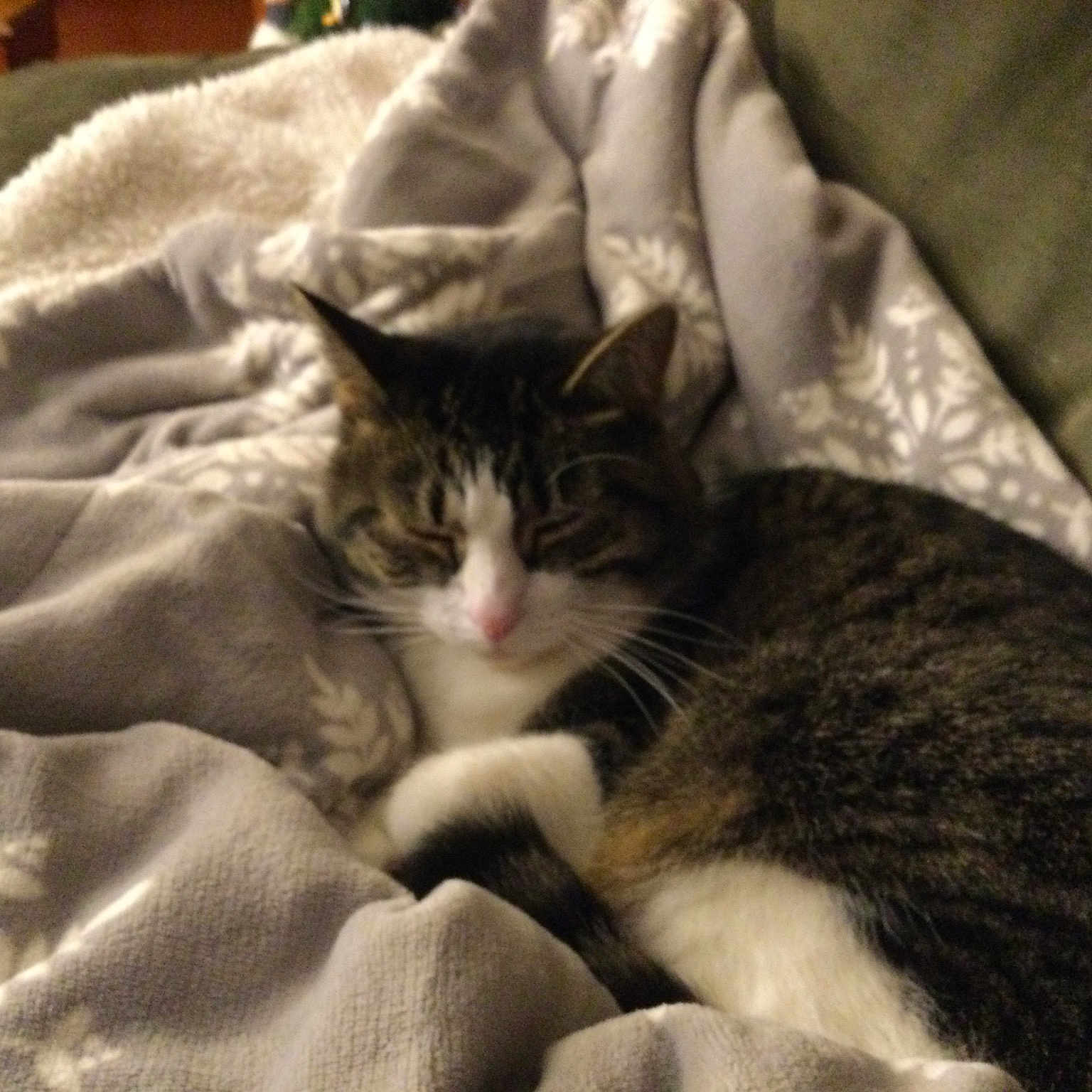 Aj