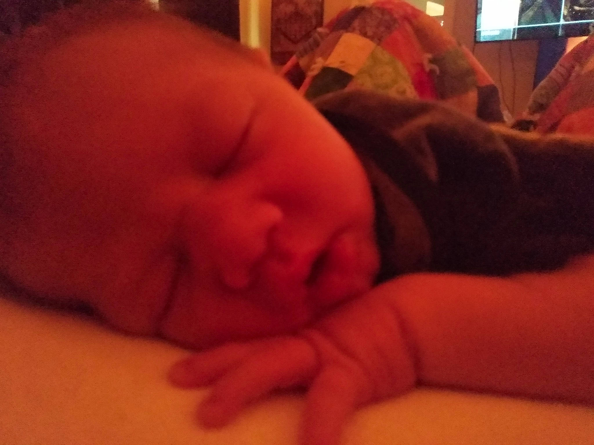 Ivar joined the competition — help win amazing prizes! baby, bedtime, cheek, child, comfort, ear, eyebrow, eyelash, flesh, fun, gesture, human_body, lip, mouth, nail, neck, nose, person, room, thumb