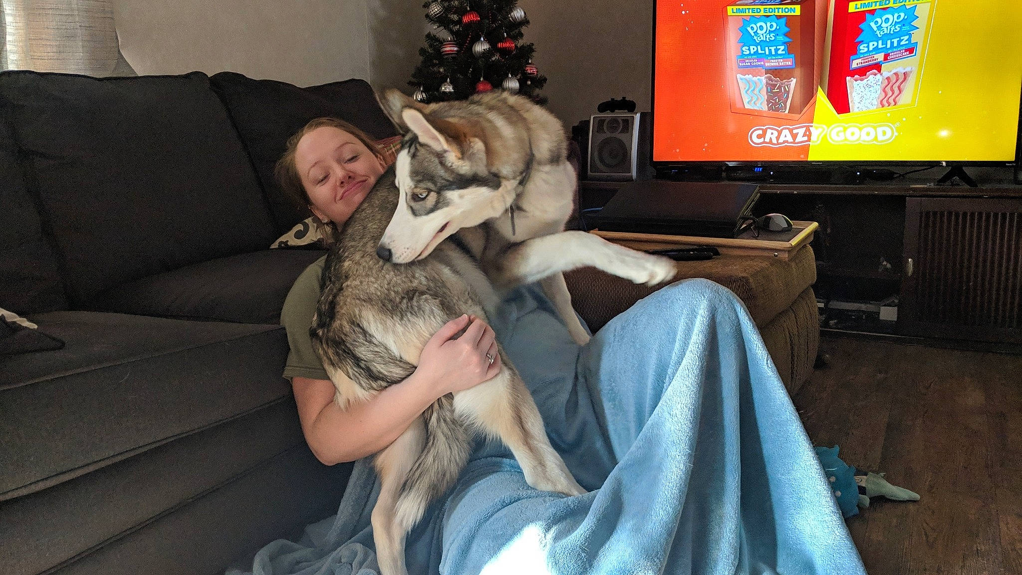 Björn is registered to the contest to win money with this photo: wolfdog