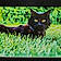 Binx