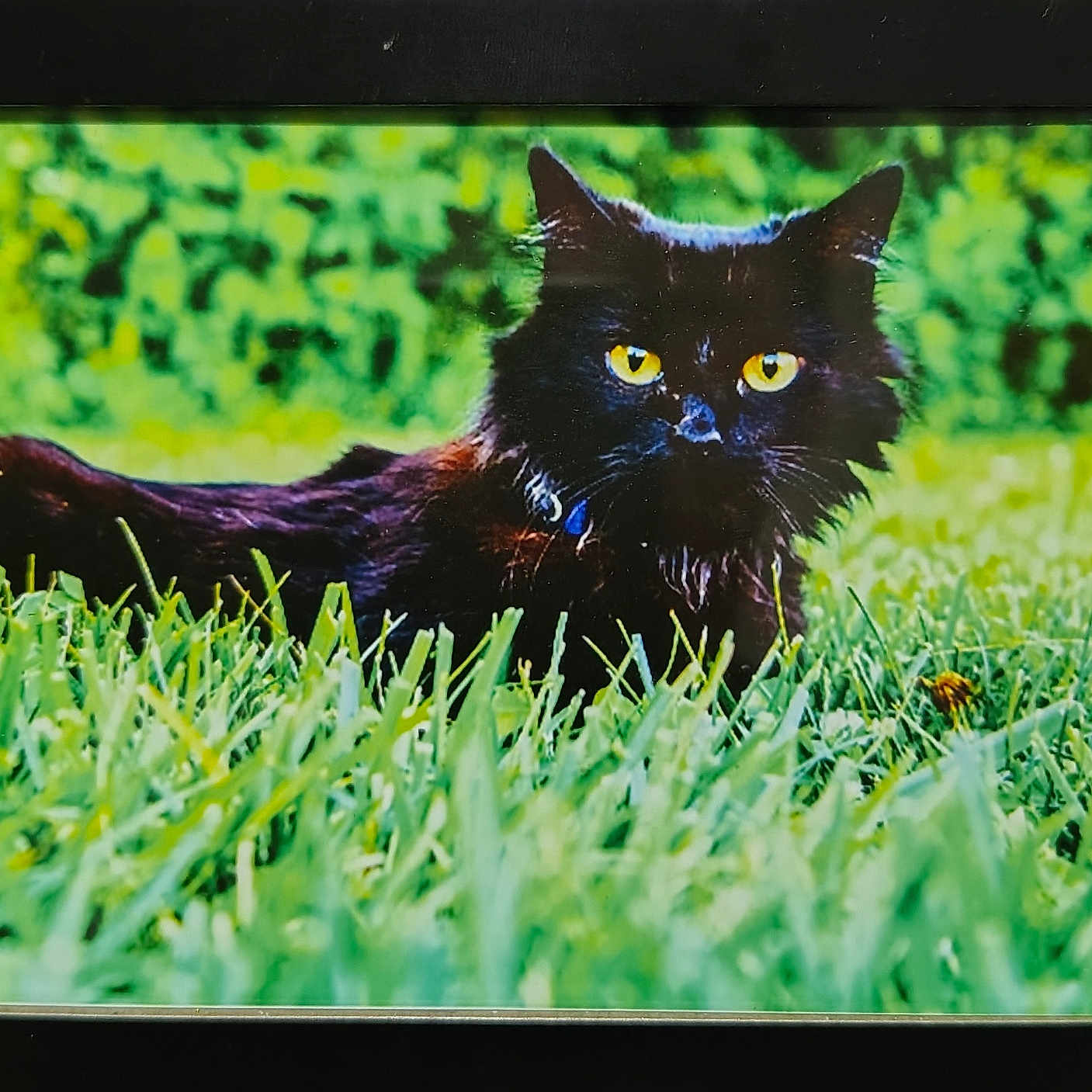 Binx