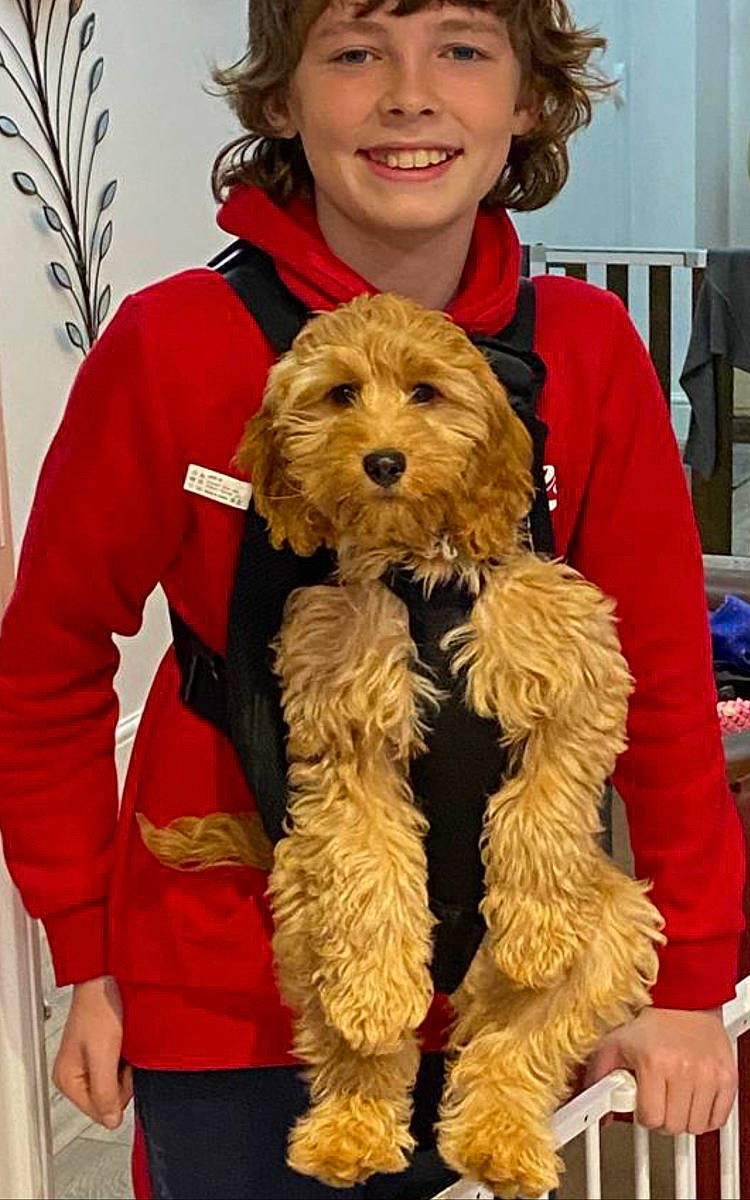 Reginald Roger joined the competition — help win amazing prizes! canidae, carnivore, companion_dog, dog, dog_breed, dog_clothes, event, firefighter, fur, hat, jacket, outerwear, plant, small_terrier, smile, snout, sporting_group, terrier, toy_dog, yellow