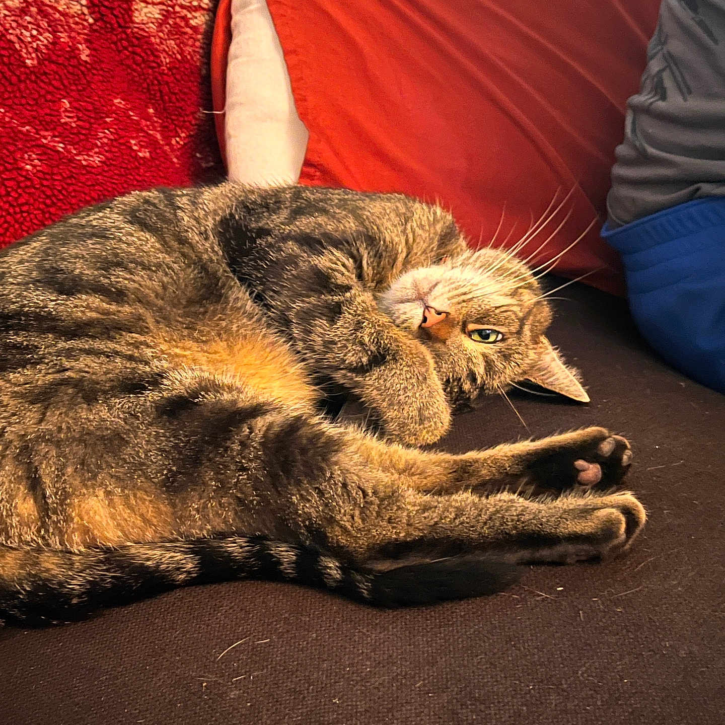 Marbles
