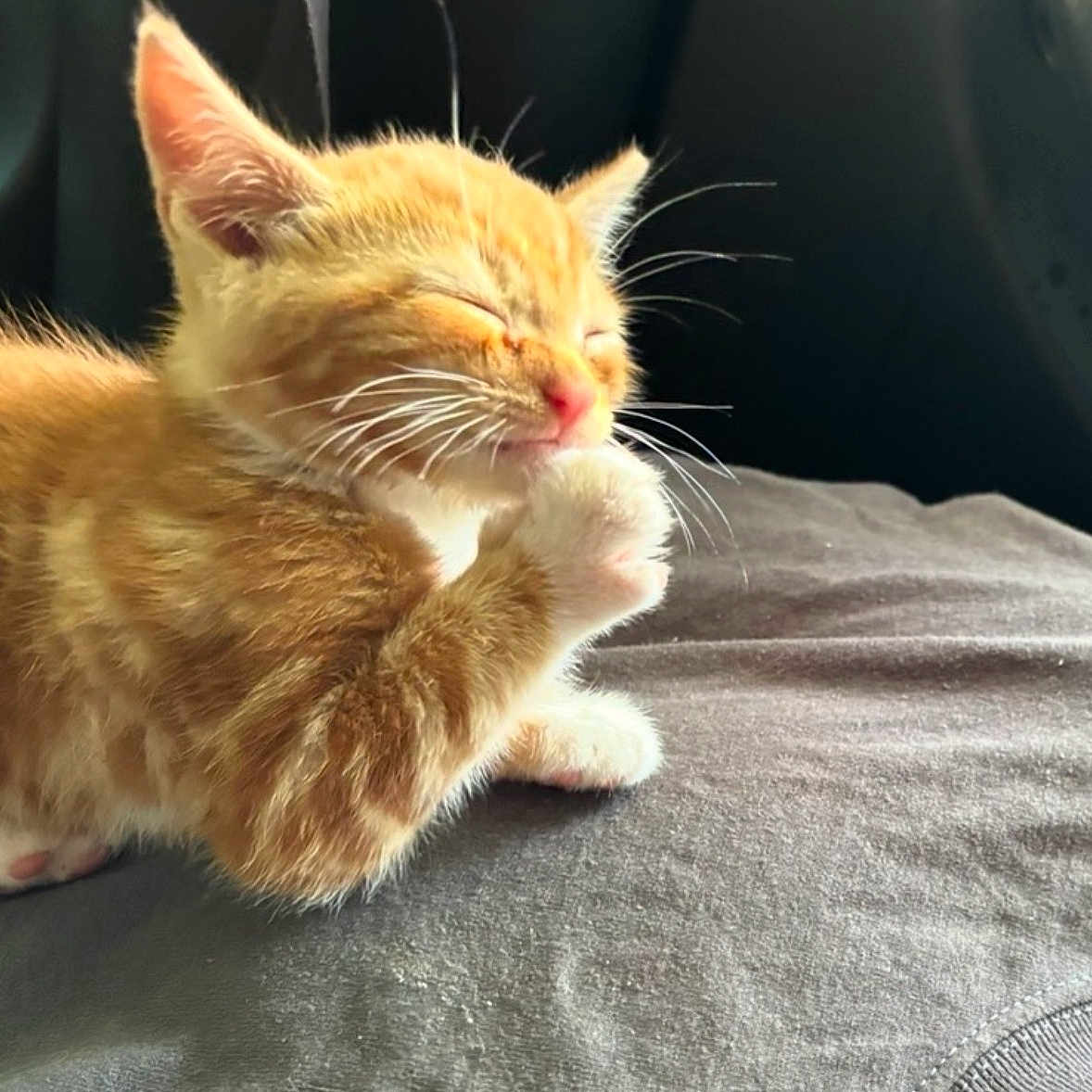 Nacho