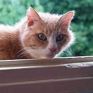 Zouzou a rejoint le concours — aidez-le/la à gagner de superbes lots !