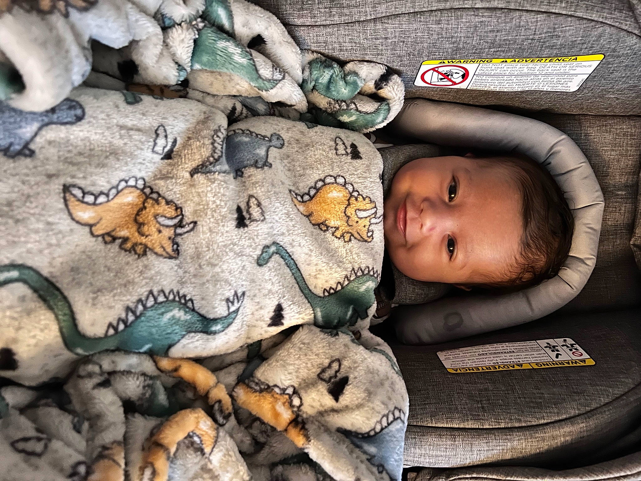 Everett joined the competition — help win amazing prizes! adaptation, art, baby, baby_products, child, collection, fur, headgear, linens, mouth, pattern, person, photography, reptile, rock, room, stuffed_toy, toddler, toy, visual_arts