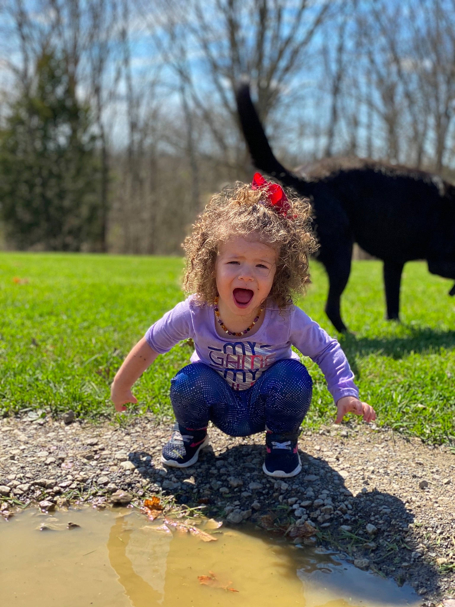 Addy is registered to the contest to win money with this photo: child, fun, grass, happy, person, play, smile, toddler