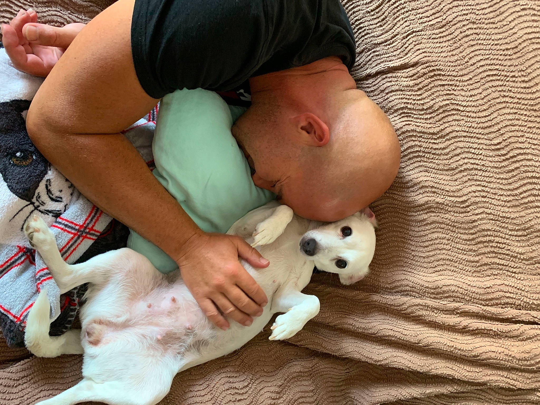 Lovely participe au concours pour gagner de l'argent avec cette photo : baby, canidae, carnivore, child, dog, dog_breed, french_bulldog, non_sporting_group, puppy, puppy_love