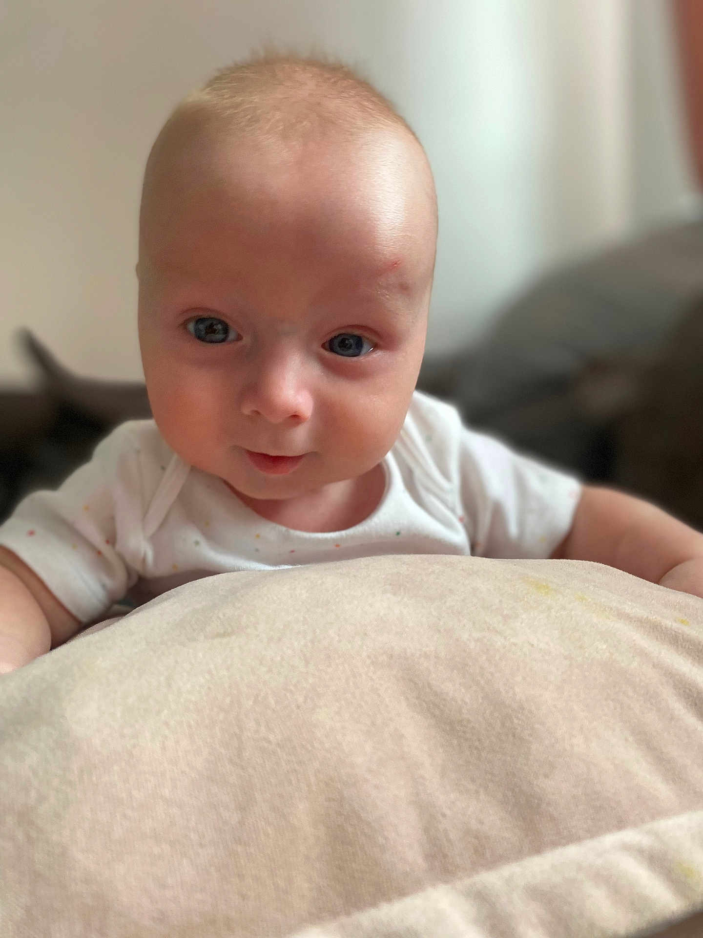 Chase joined the competition — help win amazing prizes! baby, infant, face, blue_eyes, cushion, white_clothing, soft_texture, skin, closeup, portrait, indoor, child, cute, expression, young, head, human, person, curious, baby_girl