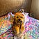 Lucy