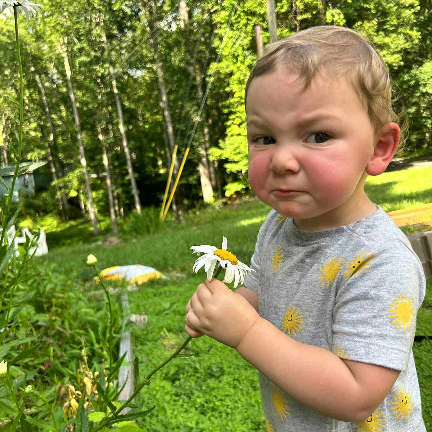 Kit is registered to the contest to win money with this photo: child, cute, daisy, daylight, expression, face, flower, garden, grass, greenery, hand, leaf, nature, outdoor, plant, portrait, shirt, summer, sun_pattern, toddler