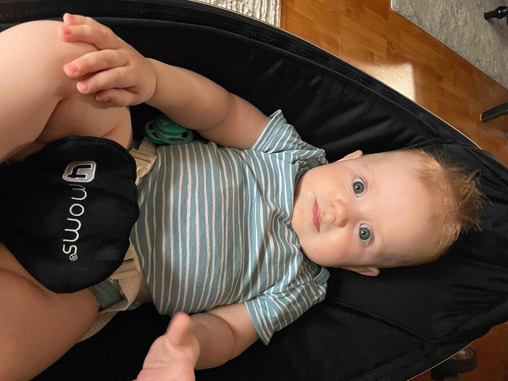 Leon joined the competition — help win amazing prizes! arm, baby, baby_toddler_clothing, cheek, comfort, elbow, facial_expression, finger, gesture, hairstyle, hand, human_body, joint, mouth, muscle, person, skin, sleeve, thigh, thumb