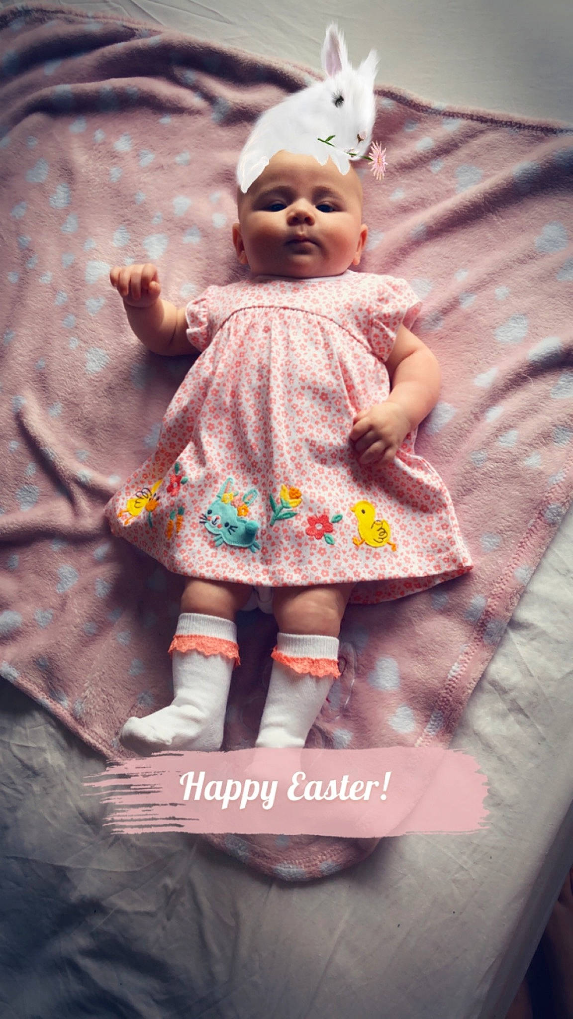 Ava-mae is registered to the contest to win money with this photo: baby, child, doll, pattern, person, smile, toddler, toy
