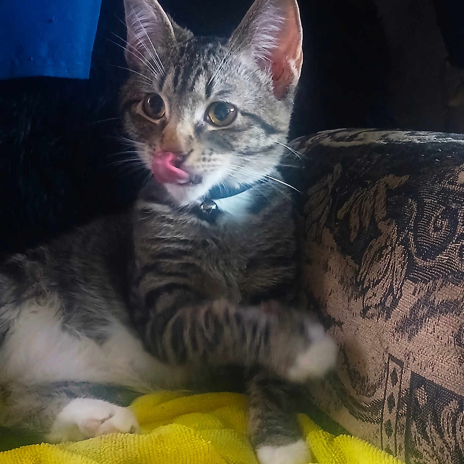 Floyd