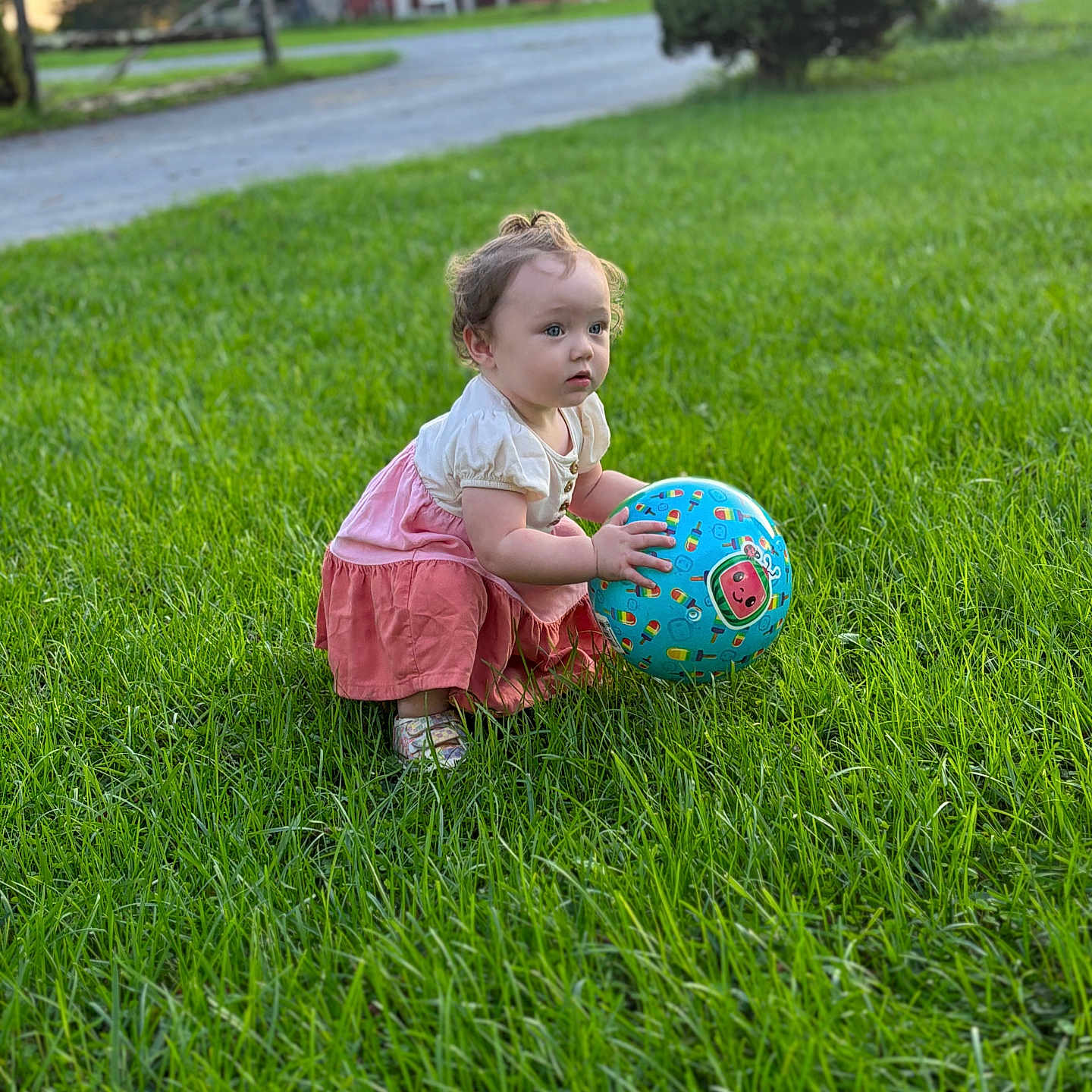 Cora-Jo joined the competition — help win amazing prizes! ball, child, face, female, football, girl, grass, head, lawn, nature, outdoors, person, photography, plant, portrait, soccer, soccerball, sphere, sport, yard