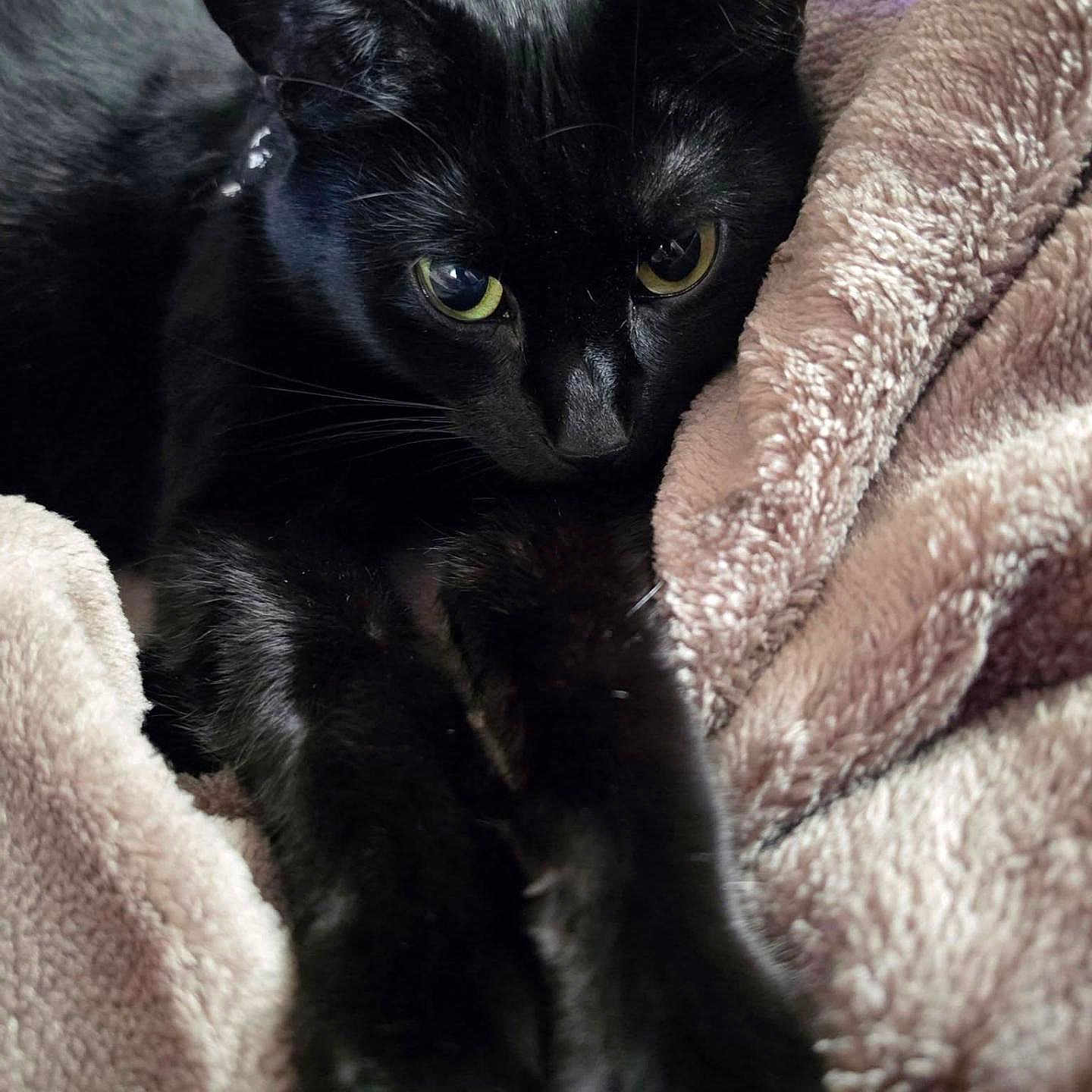Binx