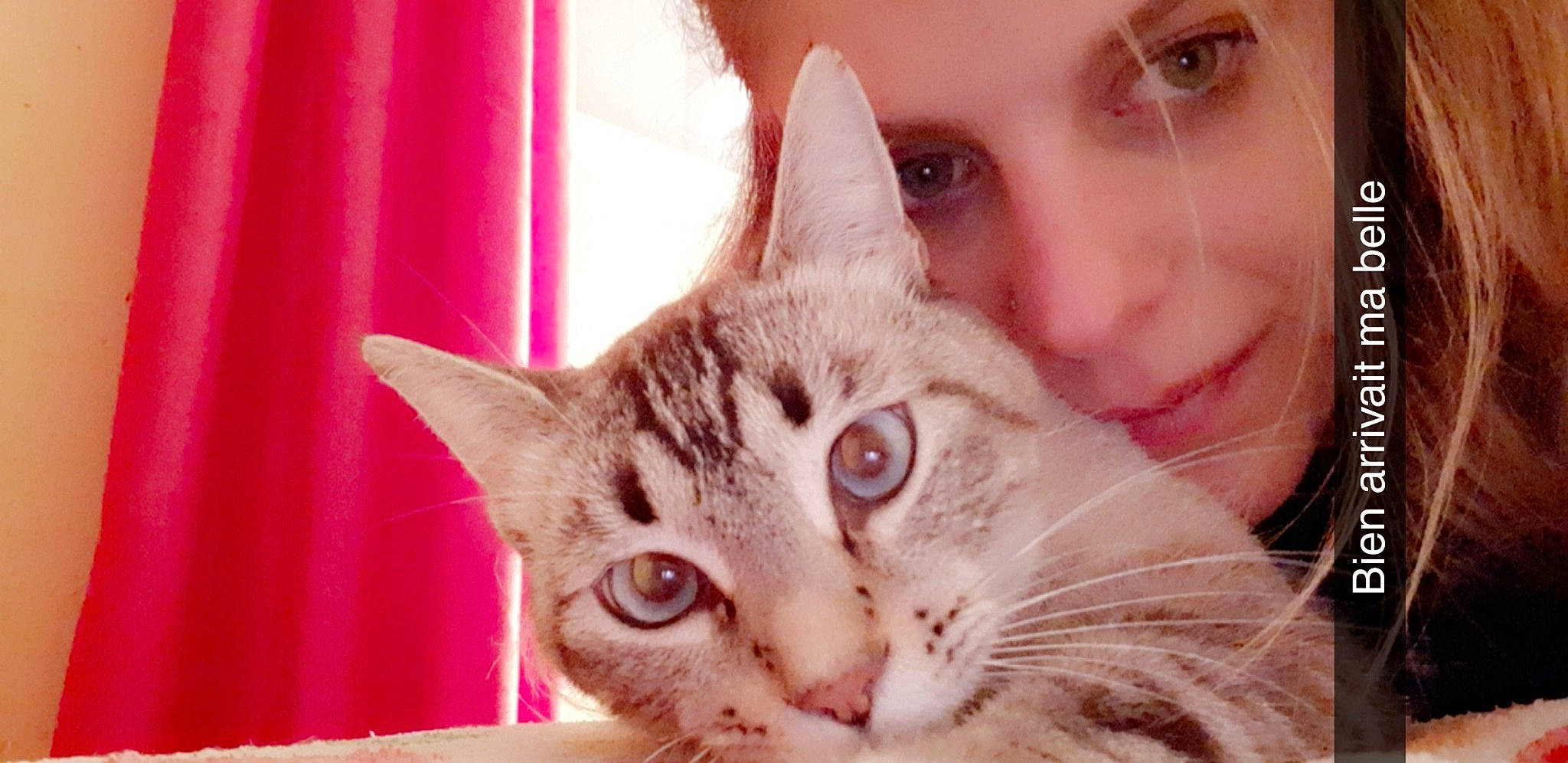 Get a rejoint le concours — aidez-le/la à gagner de superbes lots ! cat, cat_like_mammal, close_up, domestic_short_haired_cat, ear, eye, face, fur, girl, head, iris, kitten, lip, nose, organ, person, skin, small_to_medium_sized_cats, snout, whiskers