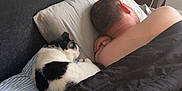 Ollie joined the competition — help win amazing prizes! bed, bedroom, black_and_white_cat, blanket, cat, companion, cozy, curled_up, furniture, headboard, human, indoor, pet, pillow, relaxing, resting, side_table, sleeping, table, together