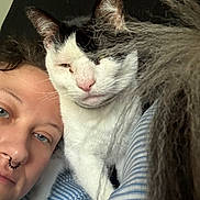 Ollie is registered to the contest to win money with this photo: black_and_white_cat, blanket, cat, close_up, comfort, companion, eyelids_closed, face, furry_texture, human_face, indoor, nose_ring, person, pet, portrait, relaxed, sleepy, snuggling, striped_clothing, warmth