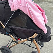 Toby is registered to the contest to win money with this photo: cat, stroller, pink_hoodie, mesh, outdoor, concrete, garage_door, pet, animal, feline, hiding, black_stroller, fabric, clothing, side_view, wheels, urban, quiet, daytime, casual