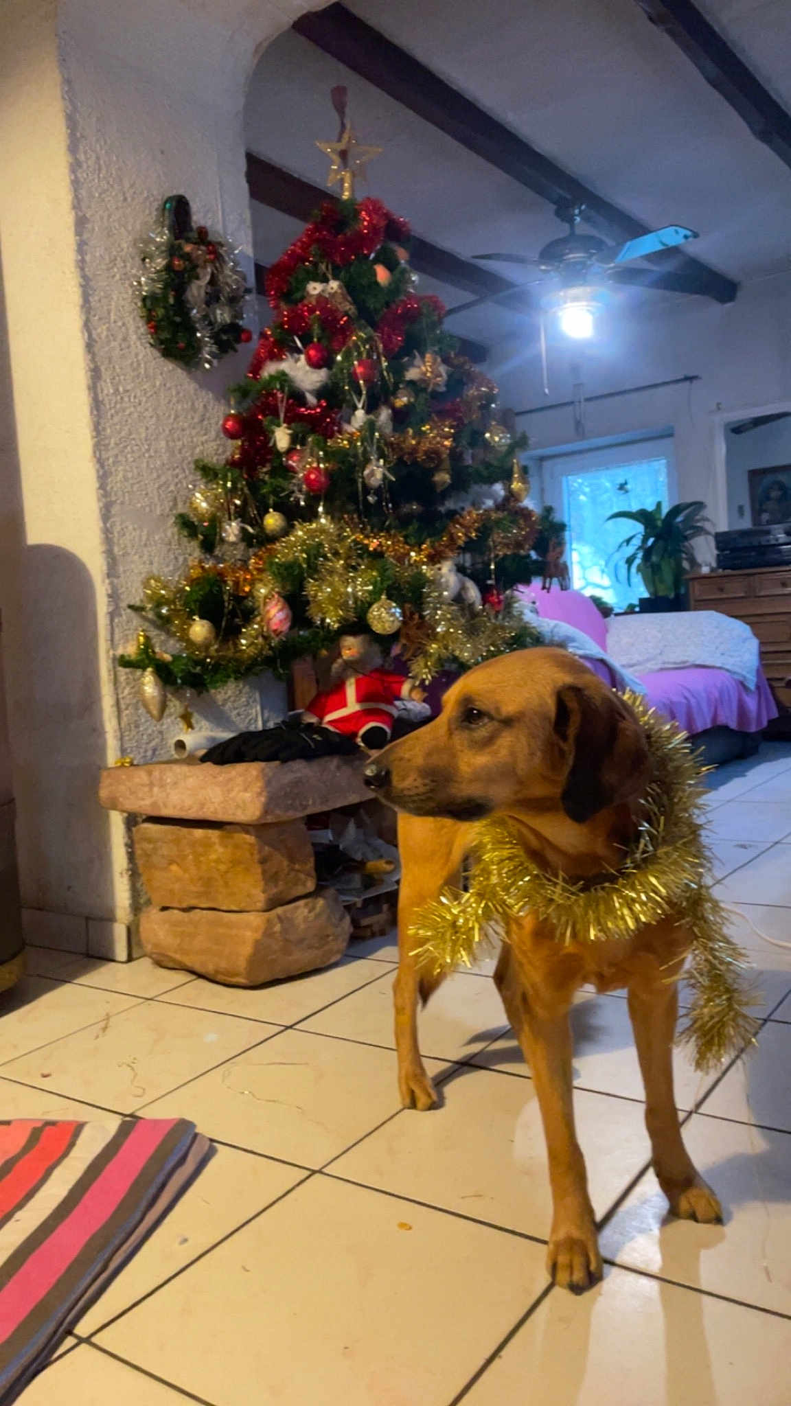 Benji