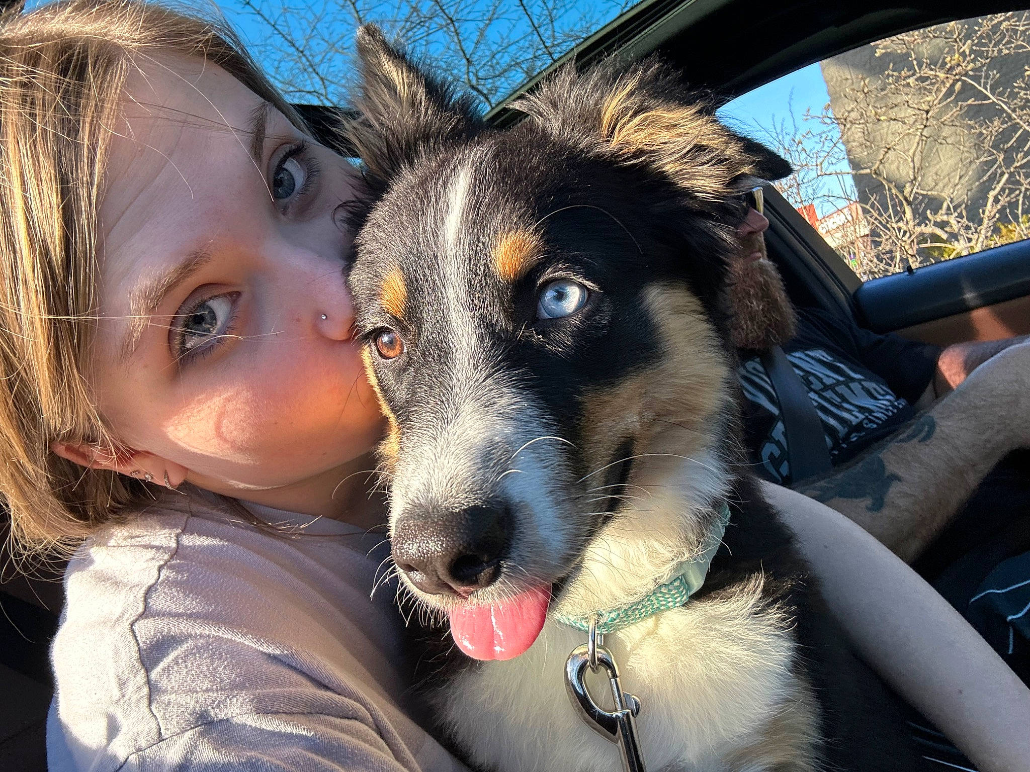 Blakley joined the competition — help win amazing prizes! canidae, carnivore, companion_dog, dog, dog_breed, ear, fawn, flash_photography, fun, fur, happy, iris, nose, plant, sky, snout, sporting_group, steering_wheel, vehicle_door, whiskers