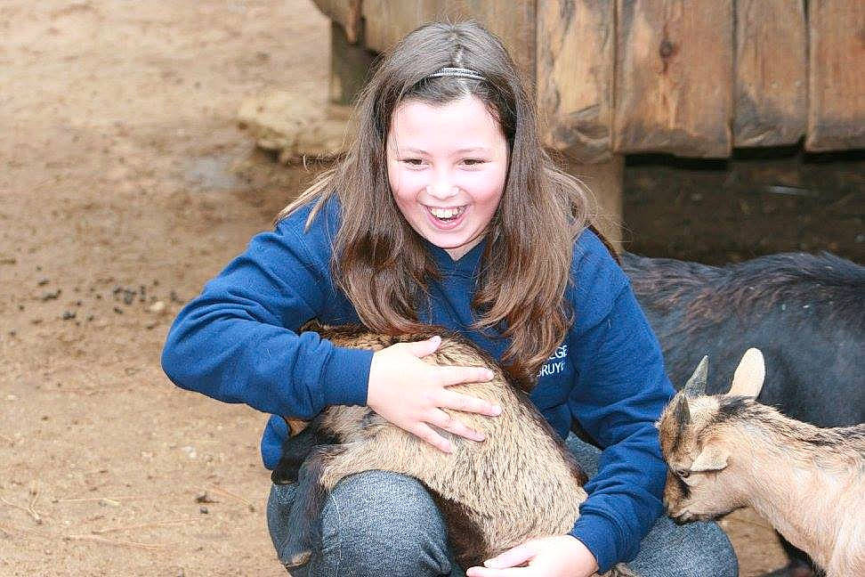 Lya participe au concours pour gagner de l'argent avec cette photo : fun, girl, goats, joy, livestock, mammal, person, portrait_photography, smile, wildlife_biologist, zookeeper
