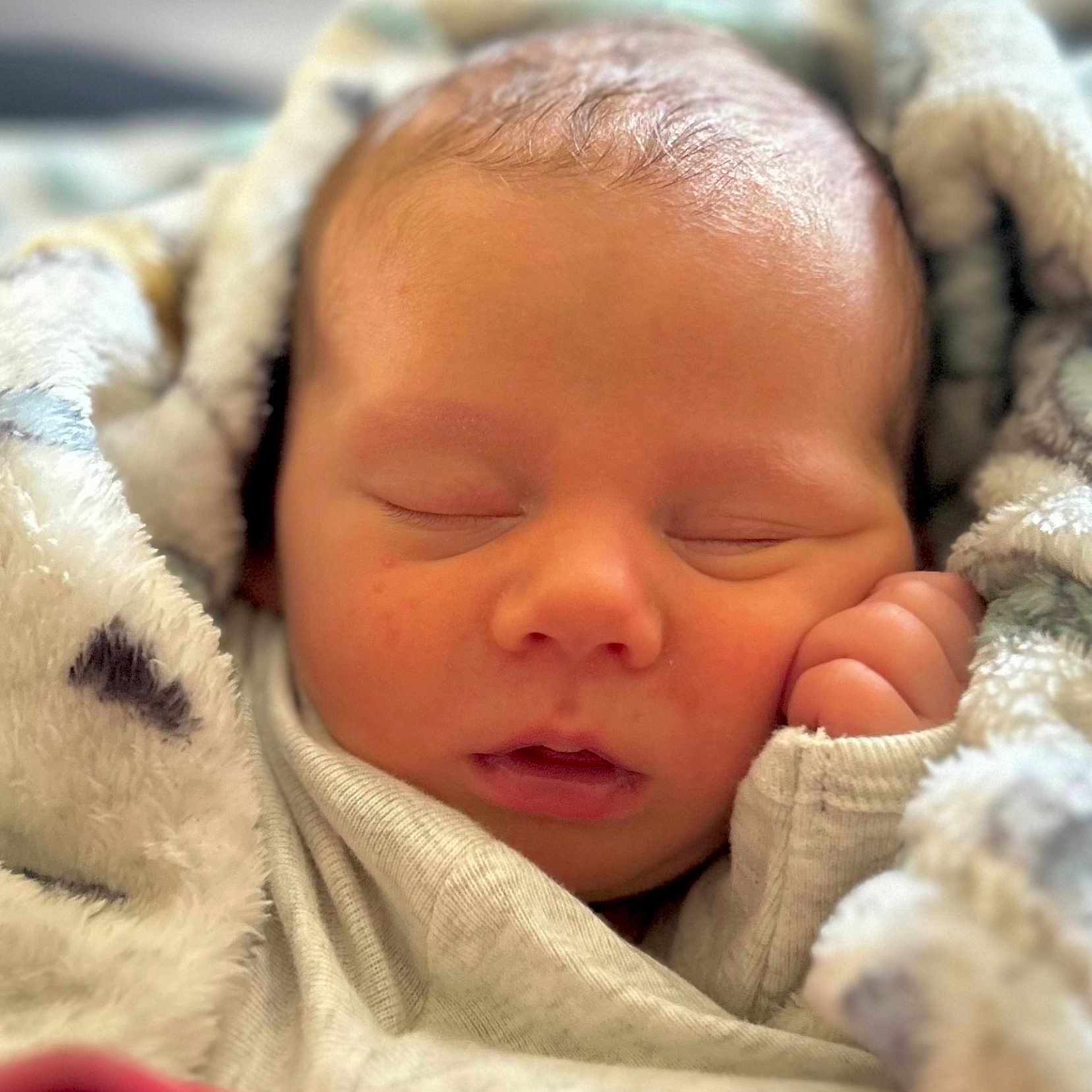 Clay joined the competition — help win amazing prizes! baby, blanket, child, closeup, comfort, cozy, cute, face, hand, infant, newborn, peaceful, portrait, rest, skin, sleeping, soft, toddler, warm, wrapped