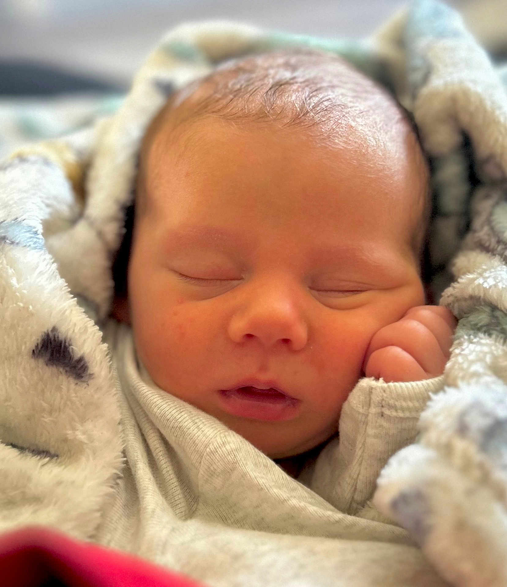 Clay joined the competition — help win amazing prizes! newborn, baby, sleeping, blanket, soft, cute, infant, face, peaceful, closeup, wrapped, cozy, hand, skin, portrait, child, rest, comfort, warm, toddler