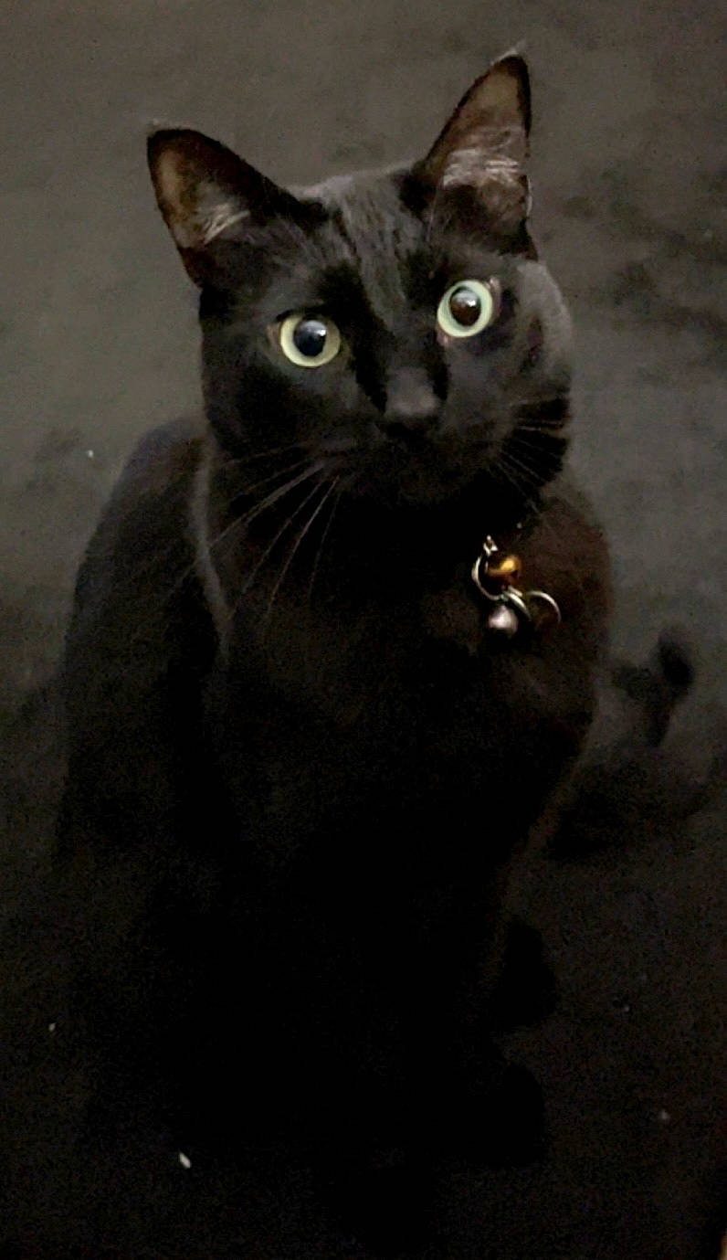 Salem