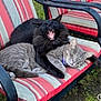 cat, black_cat, gray_cat, outdoor, chair, striped_cushion, feline, pets, sleeping, yawning, cuddling, animal, fur, whiskers, relaxing, companion, nature, grass, resting, cute