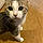 Minni