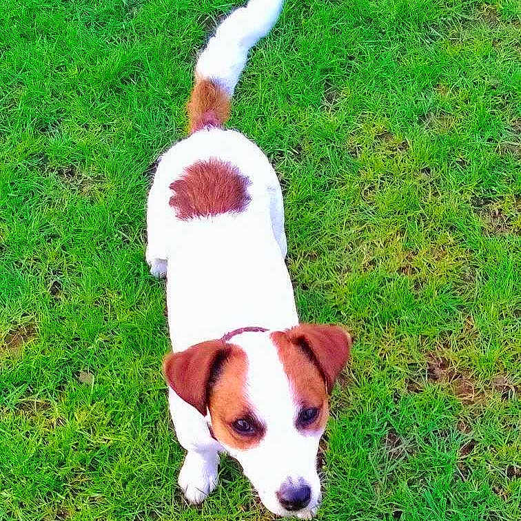 Riley joined the competition — help win amazing prizes!