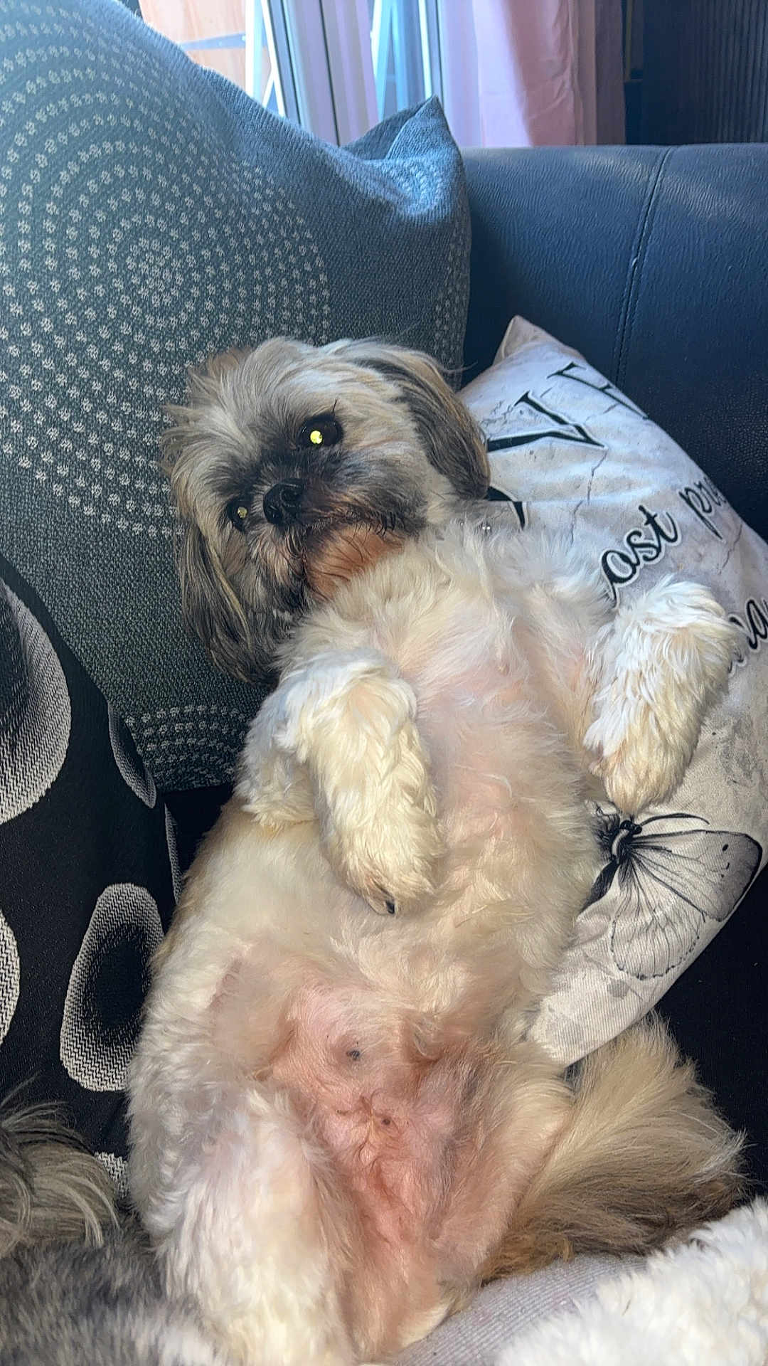 Bertie