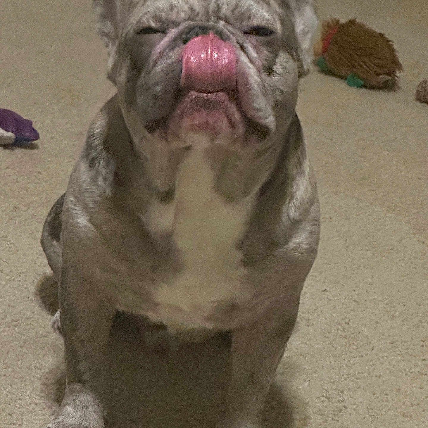 Kilo