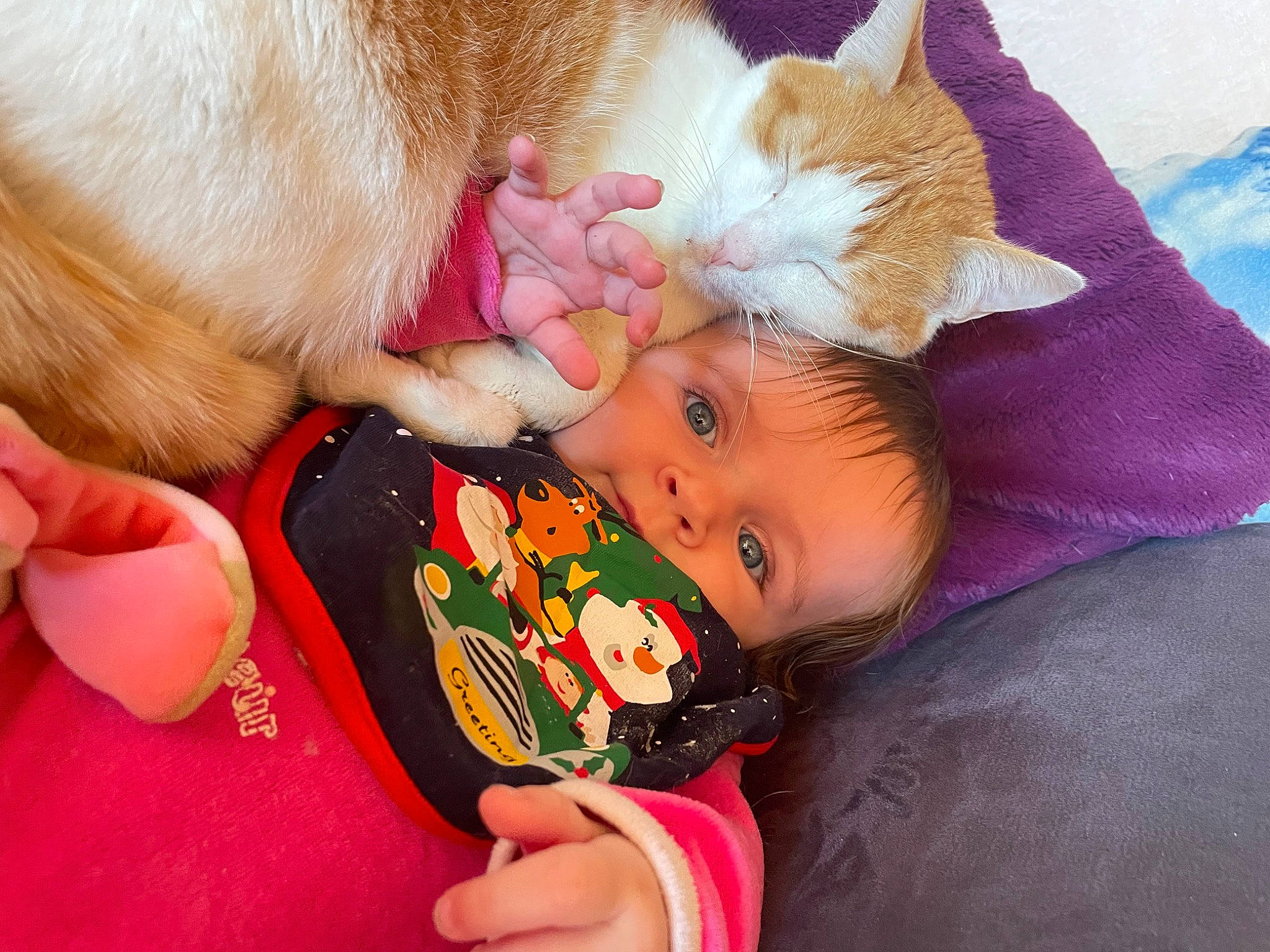 Lorelai a rejoint le concours — aidez-le/la à gagner de superbes lots ! baby, baby_toddler_clothing, cat, cheek, child, comfort, ear, eye, eyelash, finger, fur, hand, happy, head, lap, nail, nose, person, pink, skin