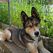 Cheyen participe au concours pour gagner de l'argent avec cette photo :