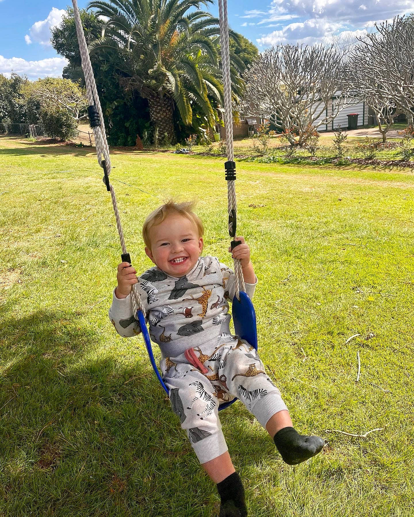 Kodah is registered to the contest to win money with this photo: cloud, grass, grass_family, grassland, happy, joy, landscape, leaf, leisure, meadow, natural_environment, nature, people_in_nature, person, plain, plant, sky, smile, summer, swing