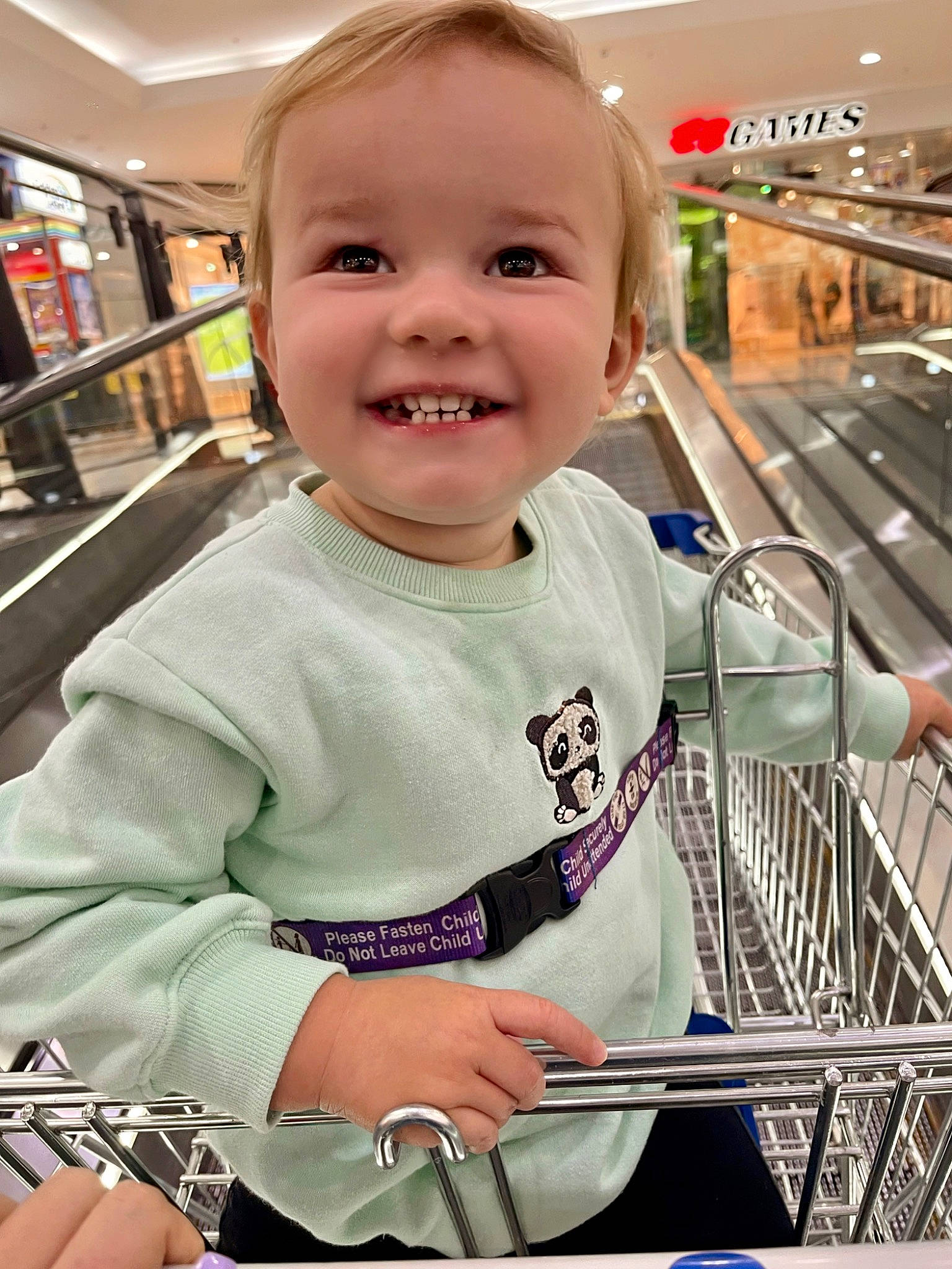 Kodah is registered to the contest to win money with this photo: baby, baby_toddler_clothing, blond, child, customer, facial_expression, fun, happy, iris, joy, leisure, person, product, retail, shopping, shopping_cart, sitting, skin, sleeve, smile